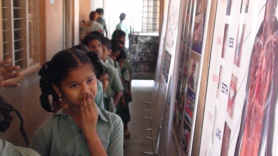 Govt. Model Cluster School Netaji Subash Chandra Bosh Nagar