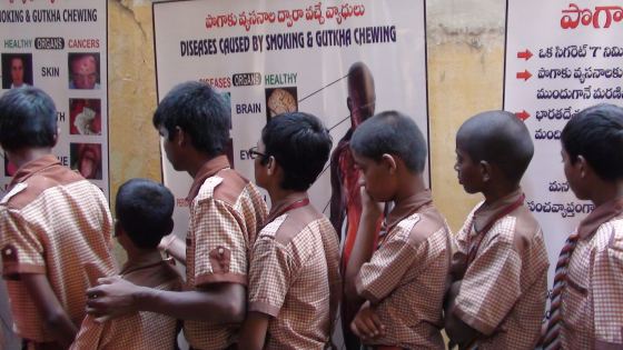 SVS School