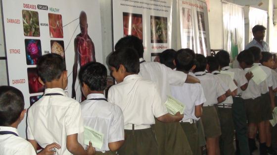 Wisdom School