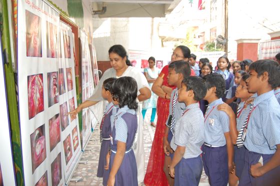 B.V.S School
