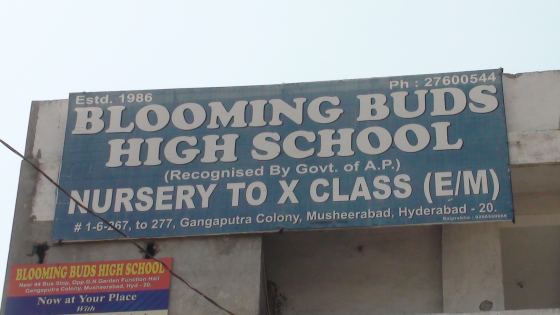 Bluming Buds School