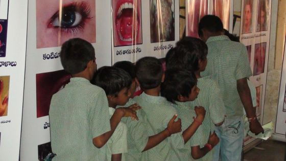Govt. Model Cluster School Netaji Subash Chandra Bosh Nagar
