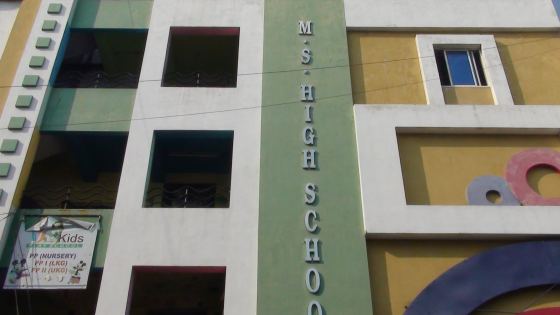 M.S. High School