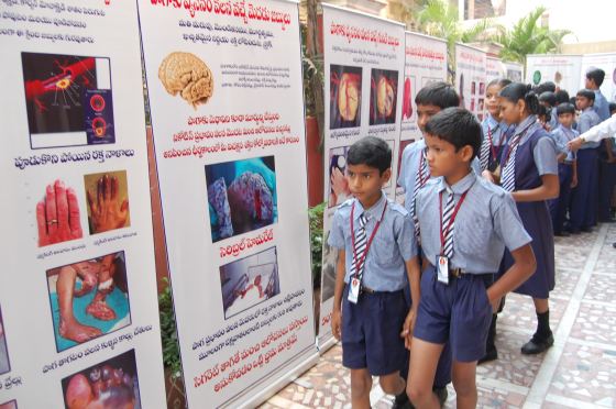 B.V.S School
