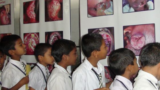 Wisdom School