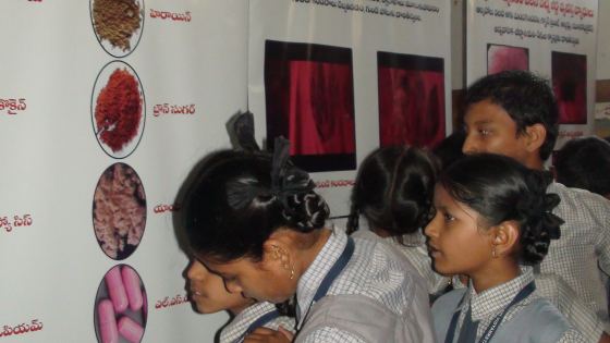 Bhargavi School